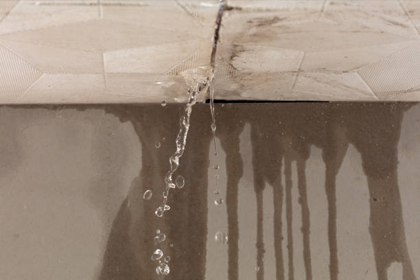 Professional Flood Damage Cleanup technician working in Darien, WI